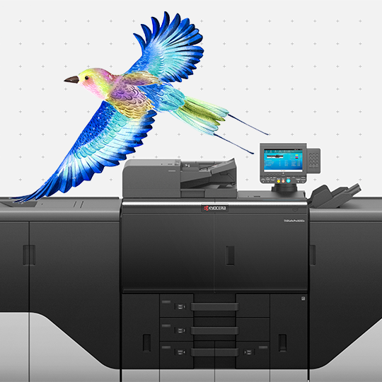 Kyocera’s sustainable inkjet solutions