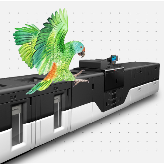 Production Print
