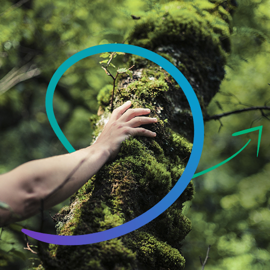 hand touching tree
