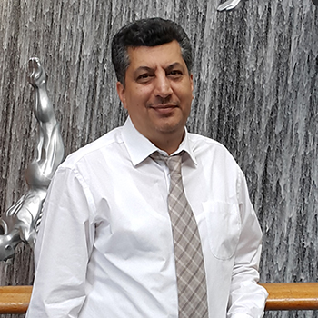 arcadis it director