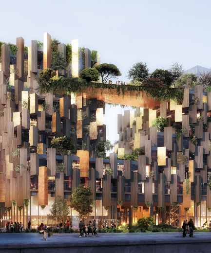 woman looking to the screen