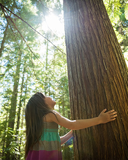 woman working with excel
